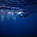 , The shape of deep freediving