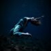 , Dedicated to freediving